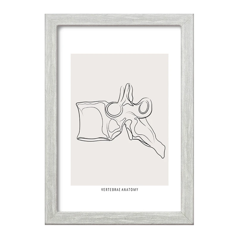 تابلو خندالو طرح آناتومی مهره ها (Vertebrae Anatomy) کد F13911