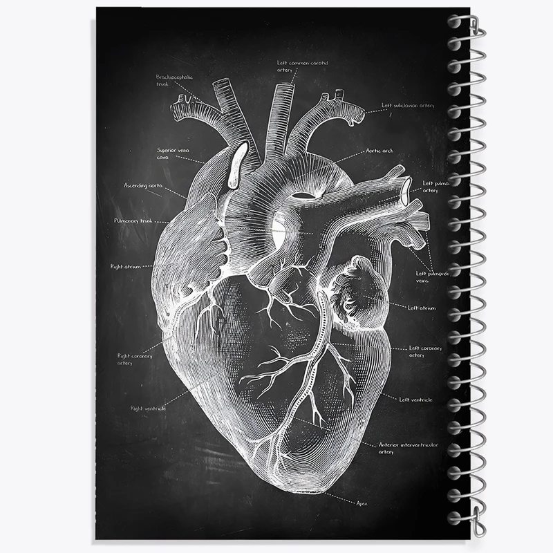 دفتر نقاشی 50 برگ خندالو طرح آناتومی قلب (Heart Anatomy) کد F13957