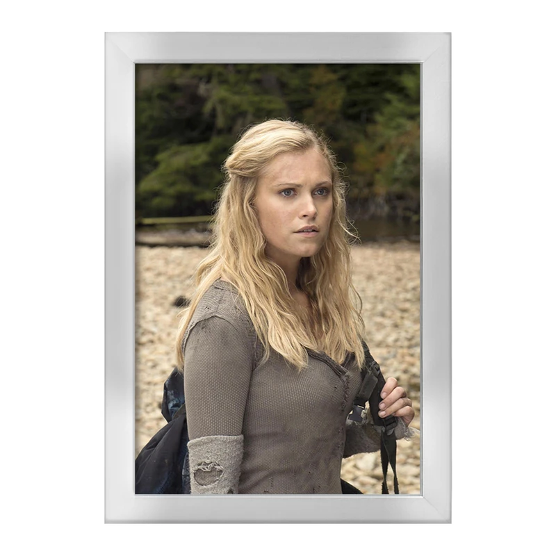 تابلو خندالو طرح سریال صد نفر The 100 کد 28581