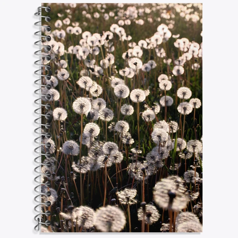 دفتر زبان 50 برگ خندالو مدل سه خط طرح پترن قاصدک کد N7648