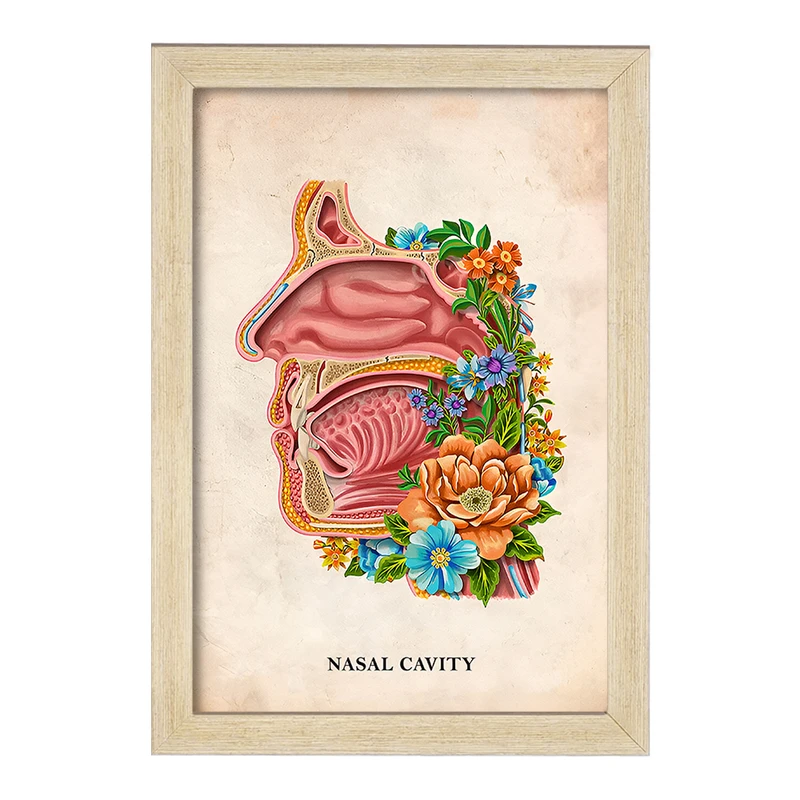 تابلو خندالو طرح حفره بینی (Nasal Cavity) کد F13992