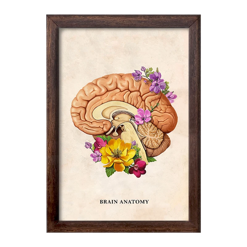 تابلو خندالو طرح آناتومی مغز (Brain Anatomy) کد F14028