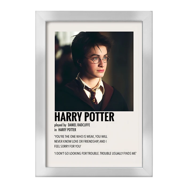 تابلو خندالو طرح هری پاتر (Harry Potter) کد F13401