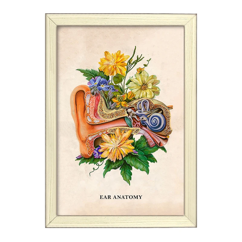 تابلو خندالو طرح آناتومی گوش (Ear Anatomy) کد F14021