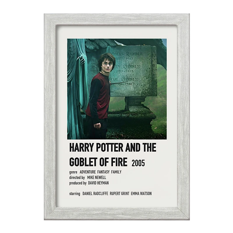 تابلو خندالو طرح هری پاتر (Harry Potter) کد F13405