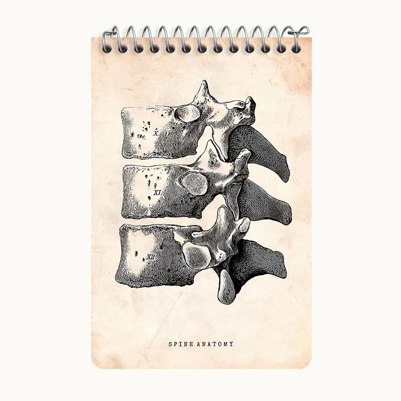 دفتر یادداشت 50 برگ خندالو طرح آناتومی ستون فقرات (Spine Anatomy) کد F13954