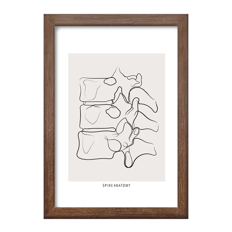 تابلو خندالو طرح آناتومی ستون فقرات (Spine Anatomy) کد F13910