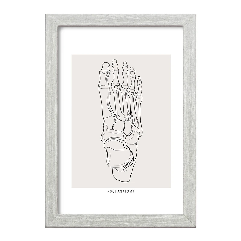 تابلو خندالو طرح آناتومی پا (Foot Anatomy) کد F13921