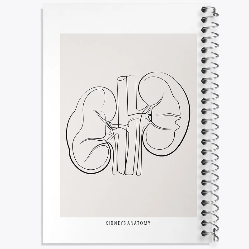 دفتر ژورنال نویسی 50 برگ خندالو مدل نقطه ای طرح آناتومی کلیه ها (kidneys Anatomy) کد F13901