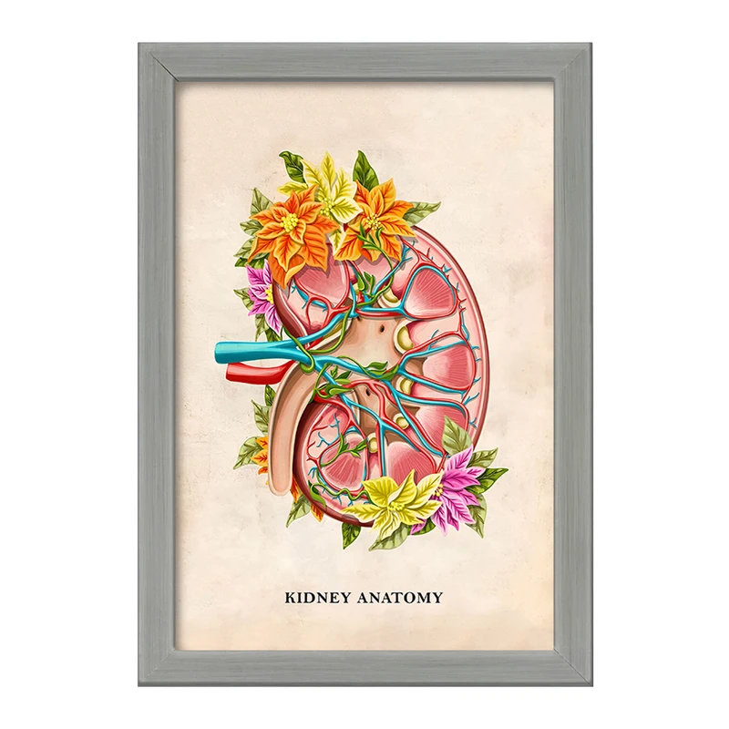 تابلو خندالو طرح آناتومی کلیه (kidney Anatomy) کد F14005