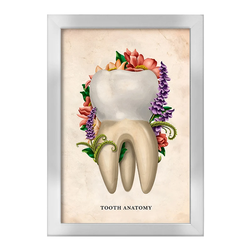 تابلو خندالو طرح آناتومی دندان (Tooth Anatomy) کد F13980