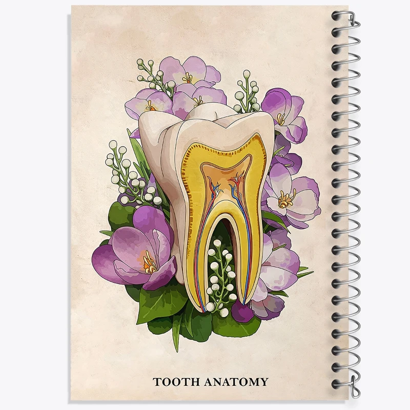 دفتر طراحی 50 برگ خندالو طرح آناتومی دندان (Tooth Anatomy) کد F14018