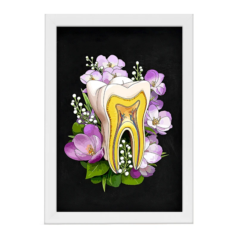 تابلو خندالو طرح آناتومی دندان (Tooth Anatomy) کد F14047