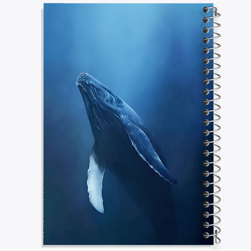 دفتر نقاشی 50 برگ خندالو طرح وال کد F3688