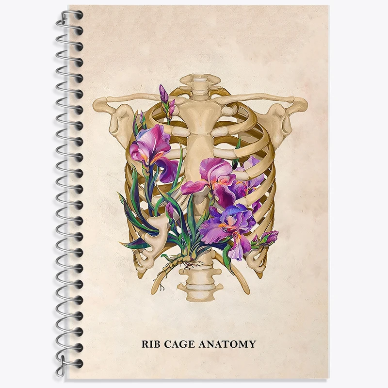 دفتر لغت 50 برگ خندالو طرح آناتومی قفسه سینه (Rib Cage Anatomy) کد F14029