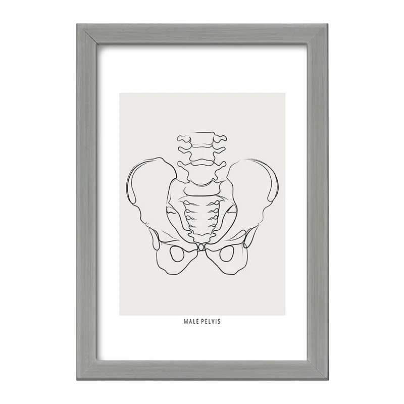 تابلو خندالو طرح آناتومی لگن (Pelvis Anatomy) کد F13912