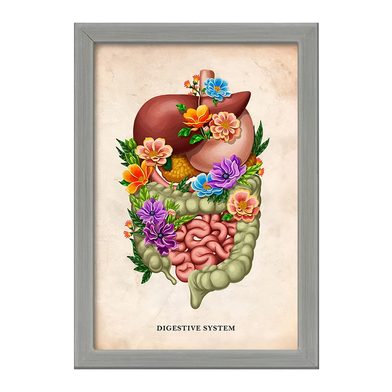 تابلو خندالو طرح سیستم گوارش (Digestive System) کد F13971