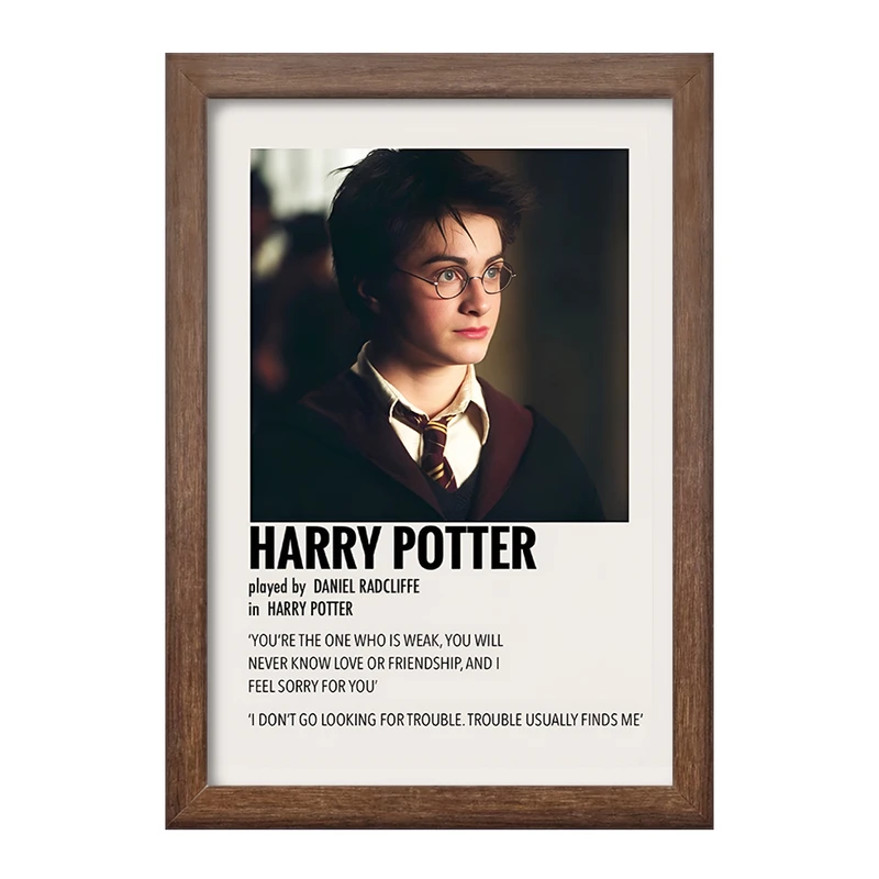 تابلو خندالو طرح هری پاتر (Harry Potter) کد F13401