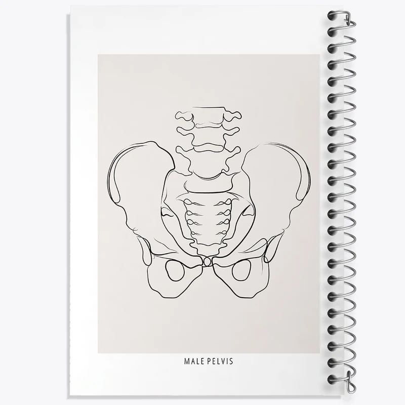 دفتر طراحی 50 برگ خندالو طرح آناتومی لگن (Pelvis Anatomy) کد F13912