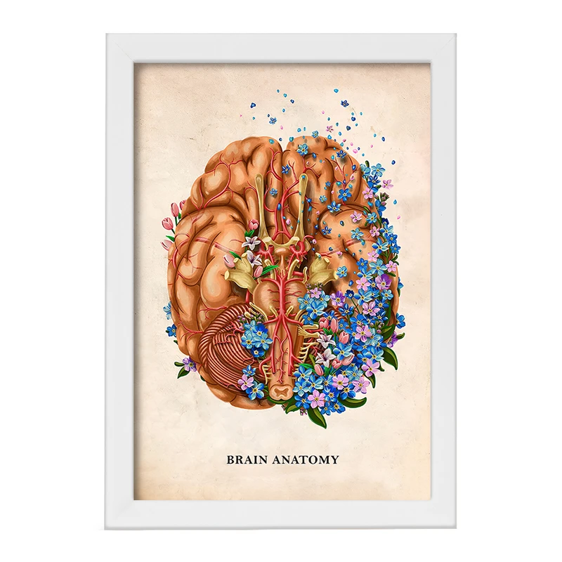 تابلو خندالو طرح آناتومی مغز (Brain Anatomy) کد F14008