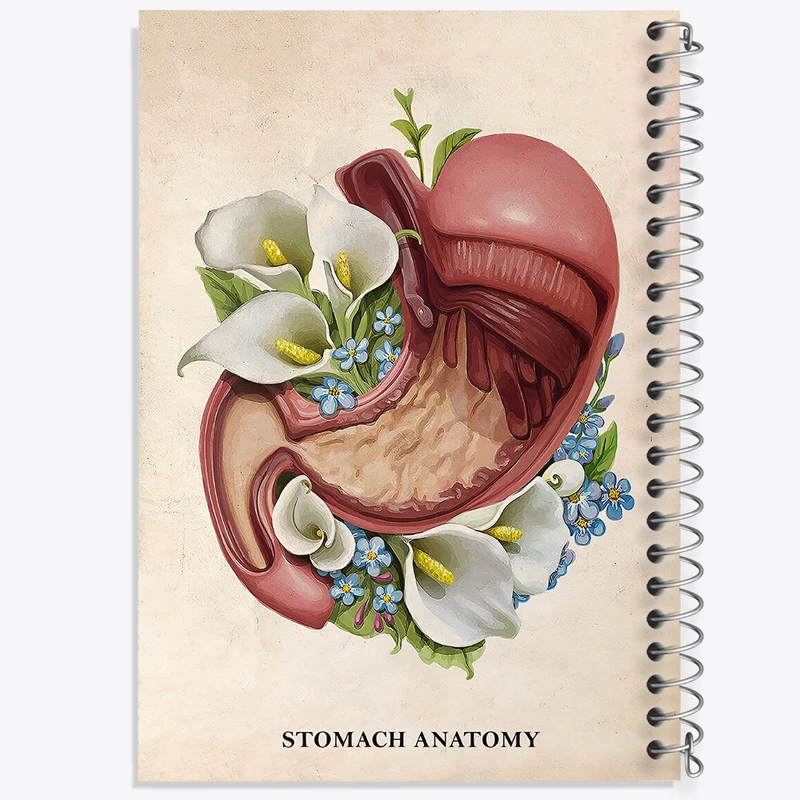 دفتر طراحی 50 برگ خندالو طرح آناتومی معده (Stomach Anatomy) کد F14009