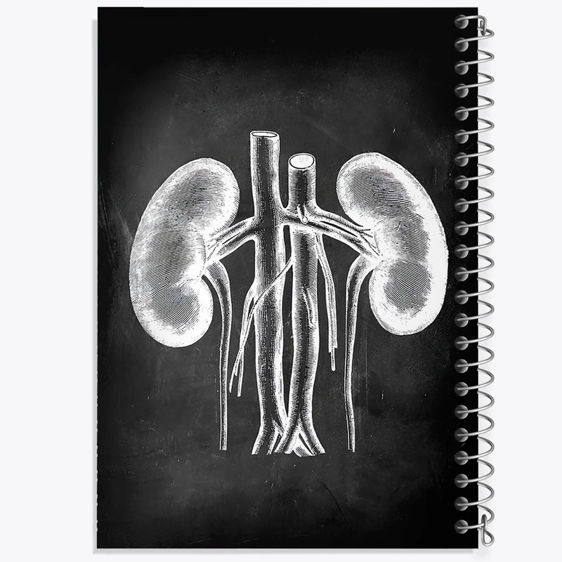 دفتر نقاشی 50 برگ خندالو طرح آناتومی کلیه (kidney Anatomy) کد F13959