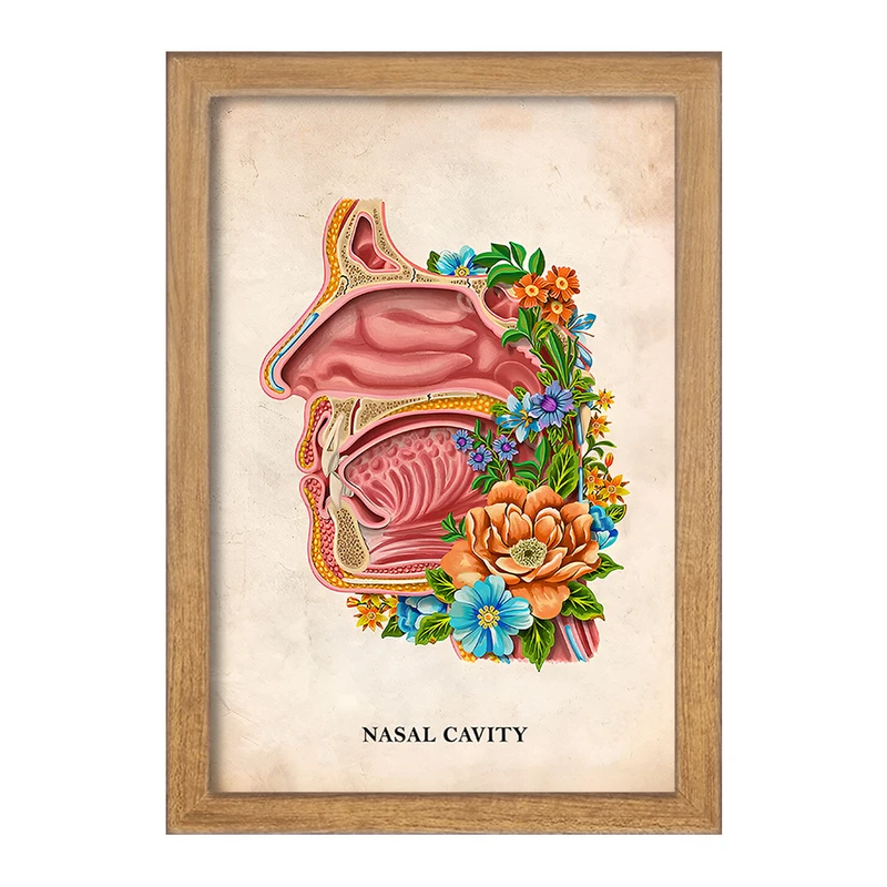 تابلو خندالو طرح حفره بینی (Nasal Cavity) کد F13992