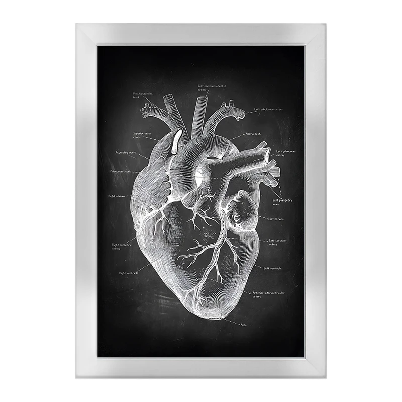 تابلو خندالو طرح آناتومی قلب (Heart Anatomy) کد F13957