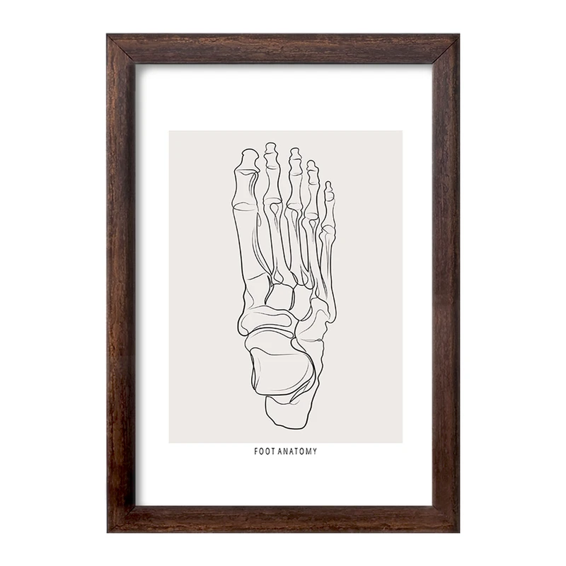 تابلو خندالو طرح آناتومی پا (Foot Anatomy) کد F13921