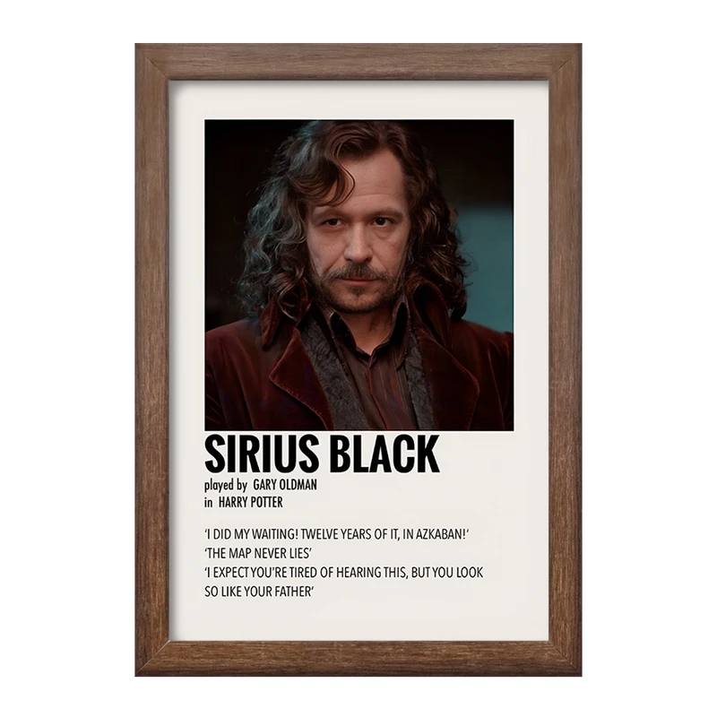 تابلو خندالو طرح سیریوس بلک (Sirius Black) کد F13398