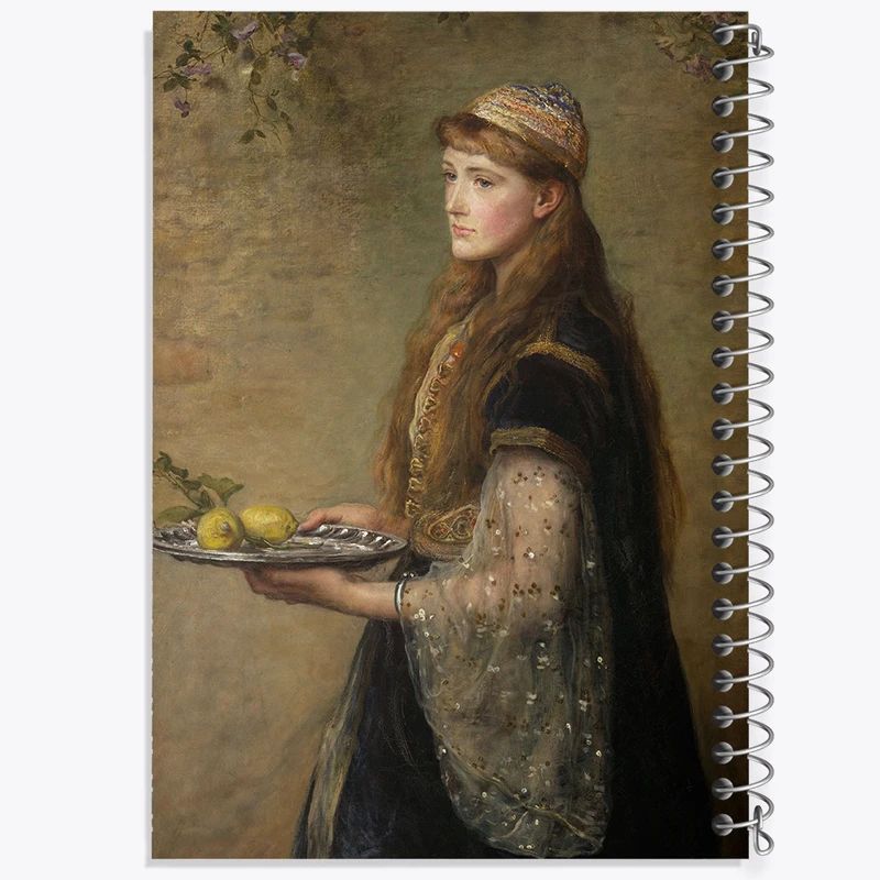 دفتر مشق 50 برگ خندالو طرح نقاشی اسیر اثر جان اورت میلی کد F12357