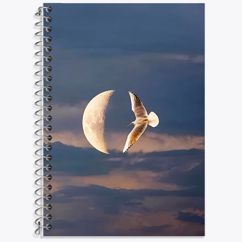 دفتر نت موسیقی 50 برگ خندالو طرح ماه و پرنده کد F8872