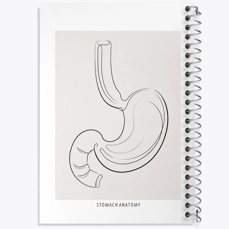 دفتر ژورنال نویسی 50 برگ خندالو مدل نقطه ای طرح آناتومی معده (Stomach Anatomy) کد F13904