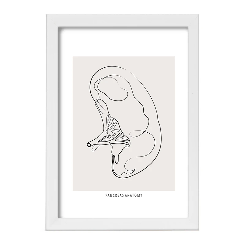 تابلو خندالو طرح آناتومی پانکراس (Pancreas Anatomy) کد F13902