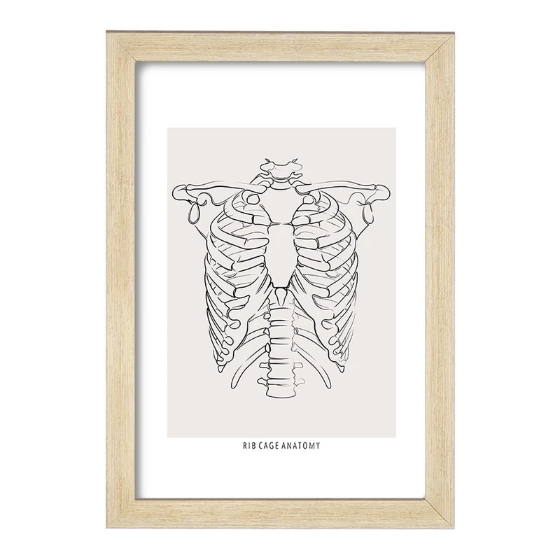 تابلو خندالو طرح آناتومی قفسه سینه (Rib Cage Anatomy) کد F13920