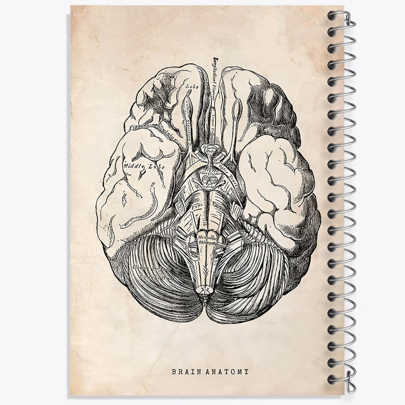 دفتر لیست خرید 50 برگ خندالو طرح آناتومی مغز (Brain Anatomy) کد F13945