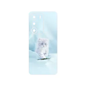 MAHOOT Cat_1 Cover Sticker for Realme C71