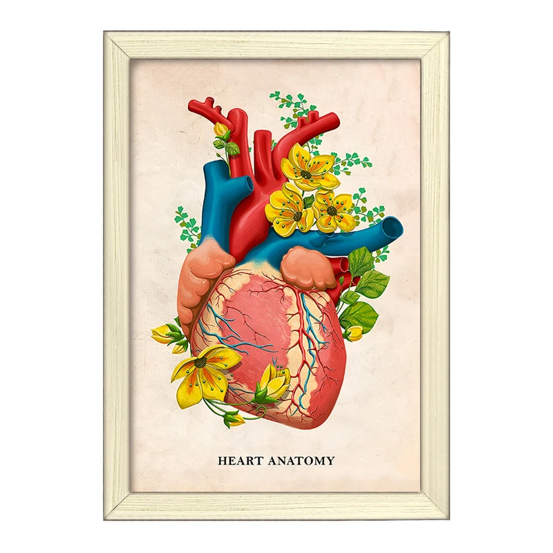 تابلو خندالو طرح آناتومی قلب (Heart Anatomy) کد F14016