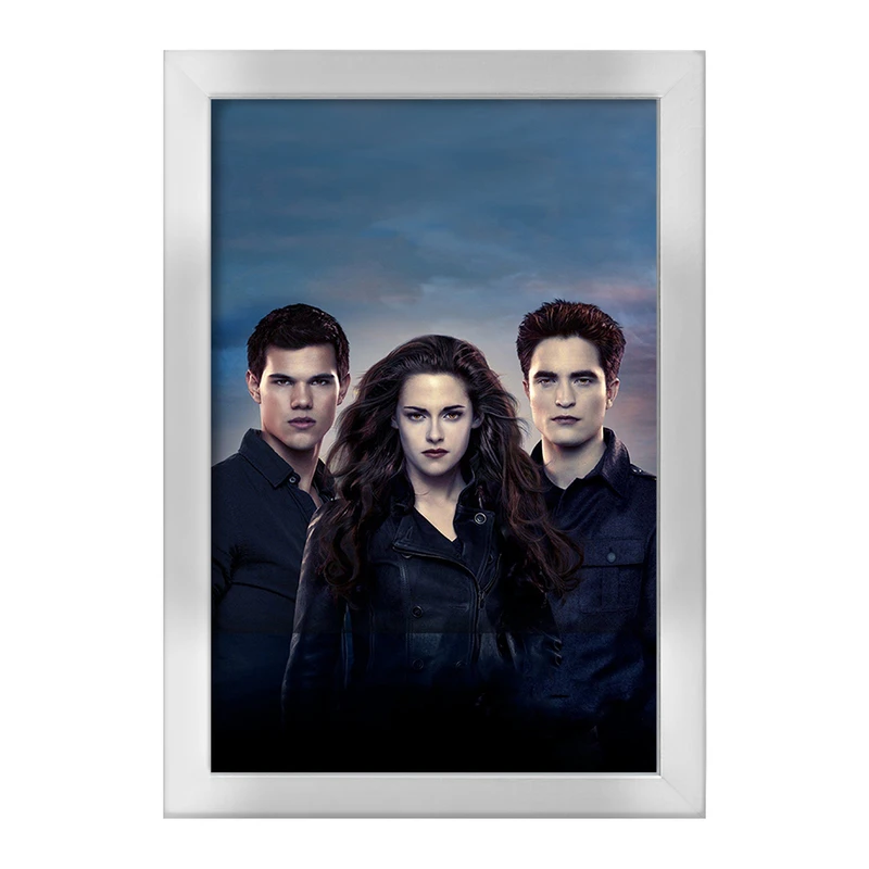 تابلو خندالو طرح گرگ و میش Twilight  کد 10854