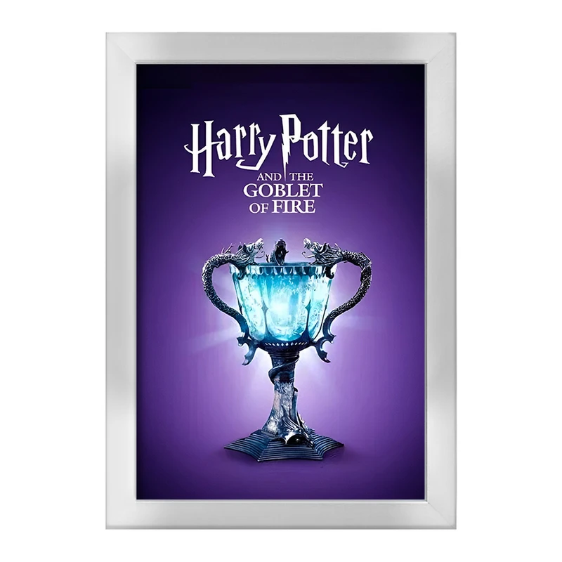 تابلو خندالو طرح هری پاتر (Harry Potter) کد F13720