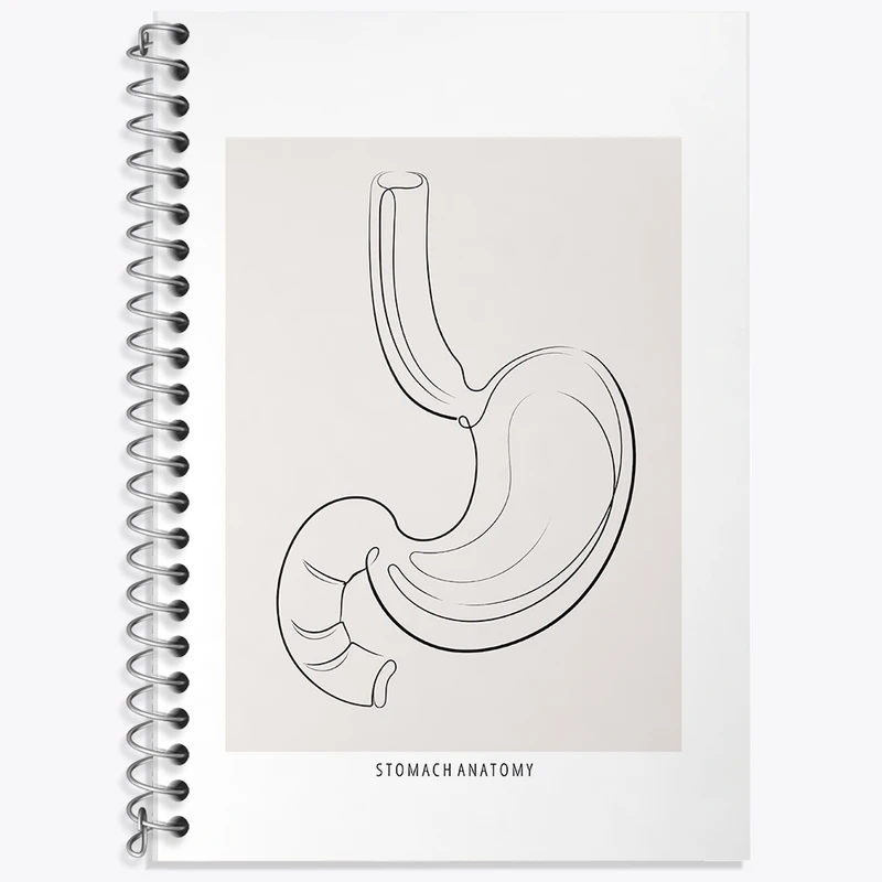 دفتر زبان 50 برگ خندالو مدل سه خط طرح آناتومی معده (Stomach Anatomy) کد F13904