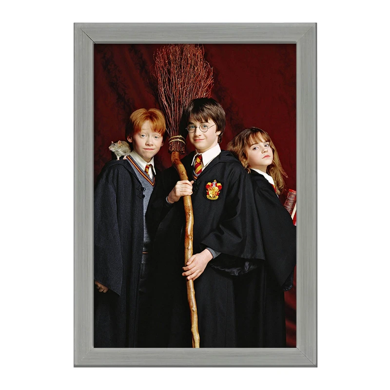 تابلو خندالو طرح رون و هرمیون و هری پاتر Harry Potter  کد 2914