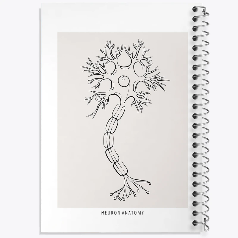 دفتر مشق 100 برگ خندالو طرح آناتومی نورون (Neuron Anatomy) کد F13907