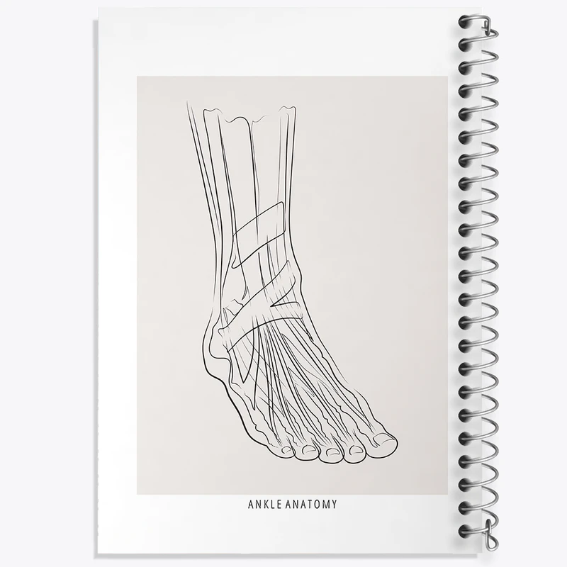 دفتر مشق 100 برگ خندالو طرح آناتومی مچ پا کد F13926