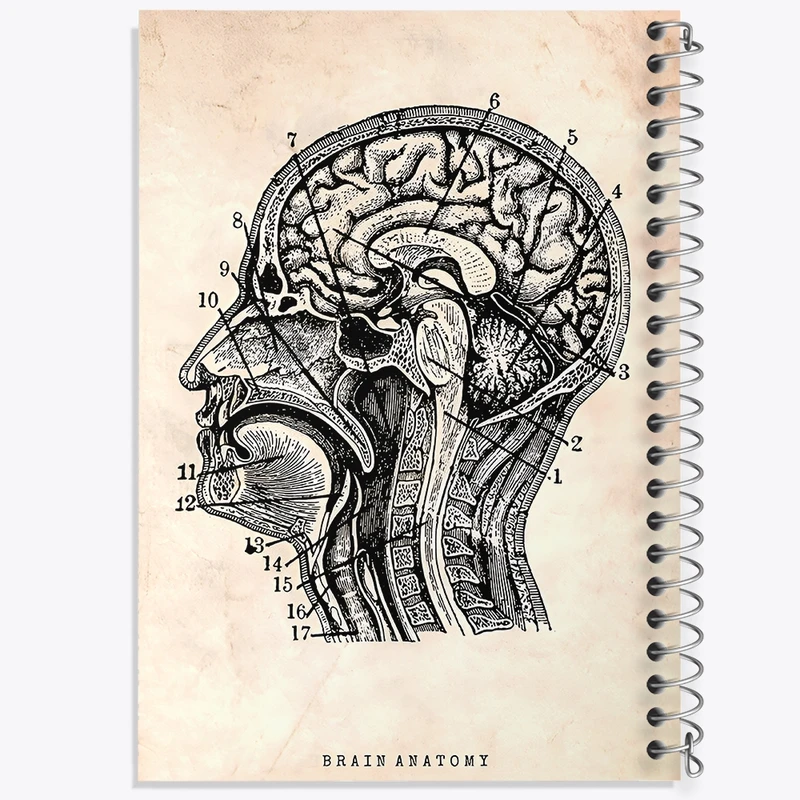 دفتر شطرنجی 50 برگ خندالو طرح آناتومی مغز (Brain Anatomy) کد F13947