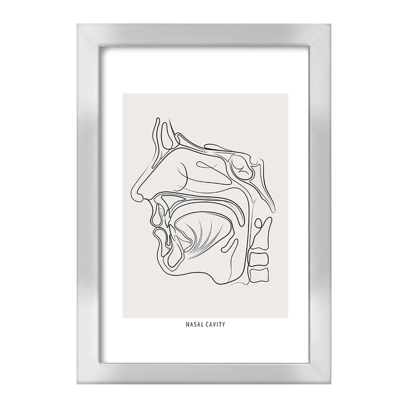 تابلو خندالو طرح حفره بینی (Nasal Cavity) کد F13931