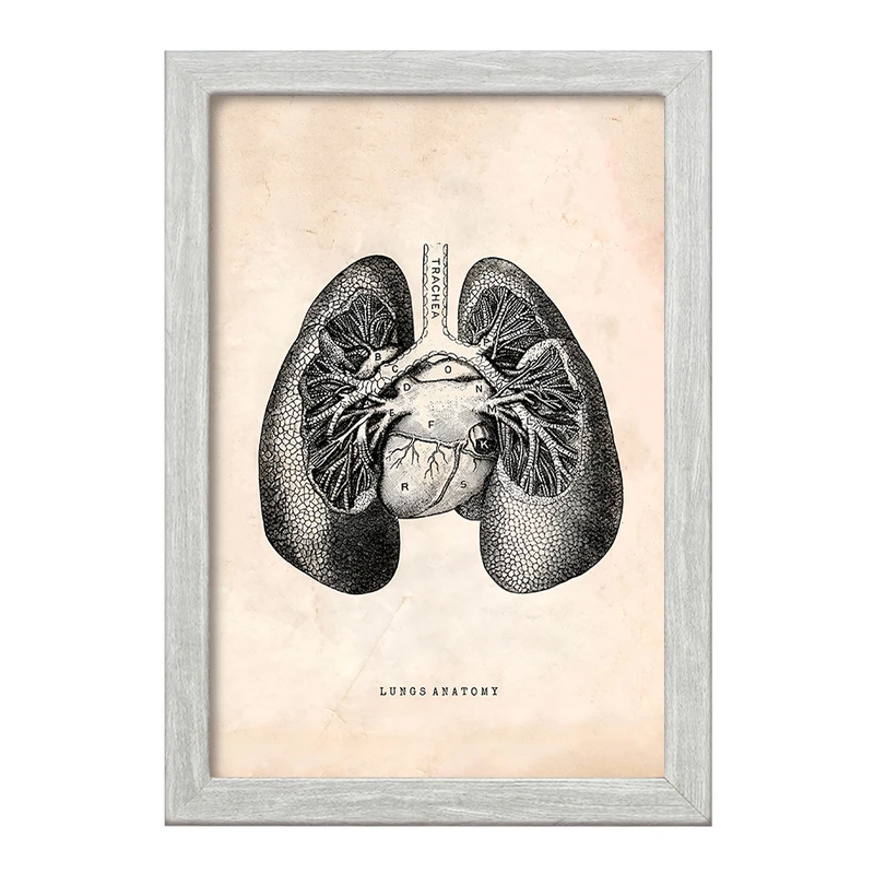 تابلو خندالو طرح آناتومی ریه ها (Lungs Anatomy) کد F13949