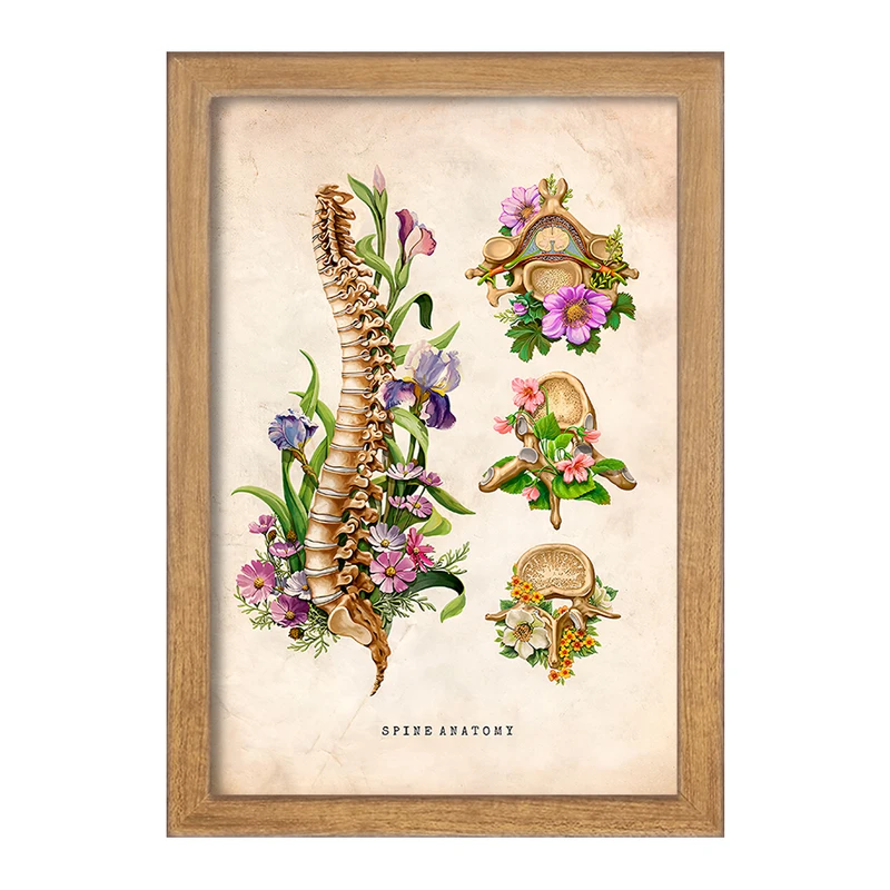 تابلو خندالو طرح آناتومی ستون فقرات (Spine Anatomy) کد F13967