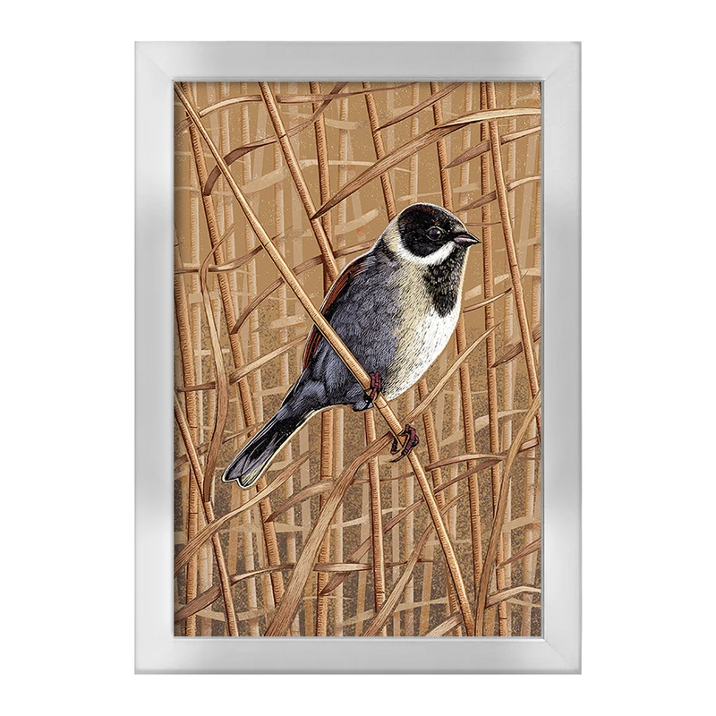 تابلو خندالو طرح پرنده کد F2862