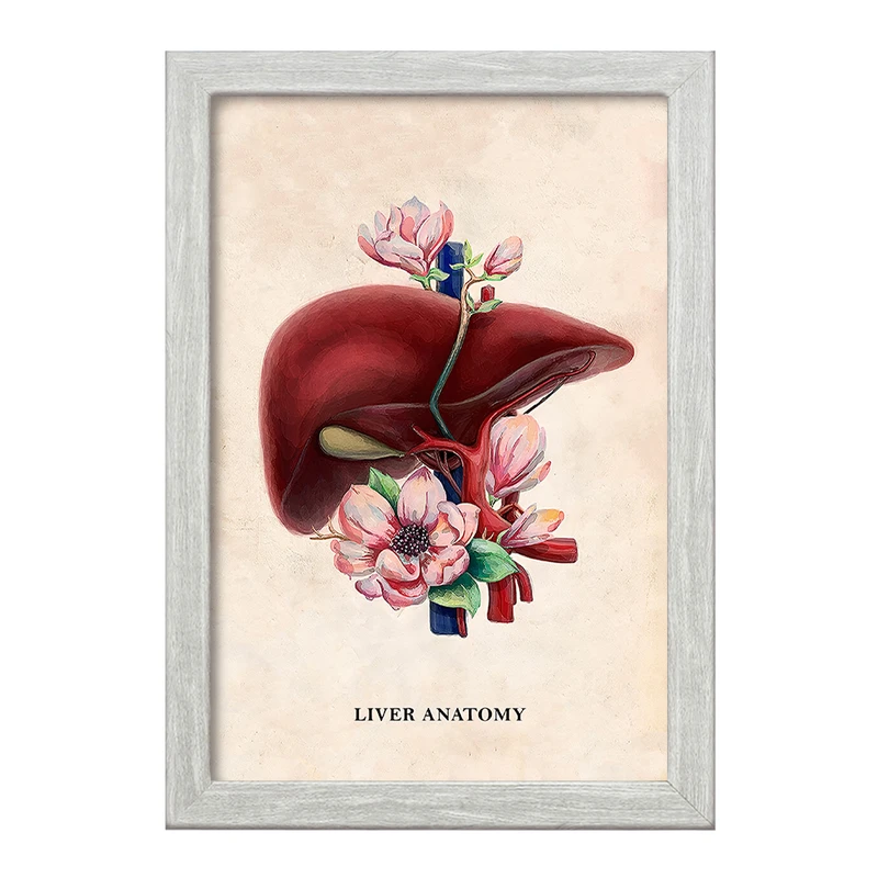 تابلو خندالو طرح آناتومی کبد (Liver anatomy) کد F14027